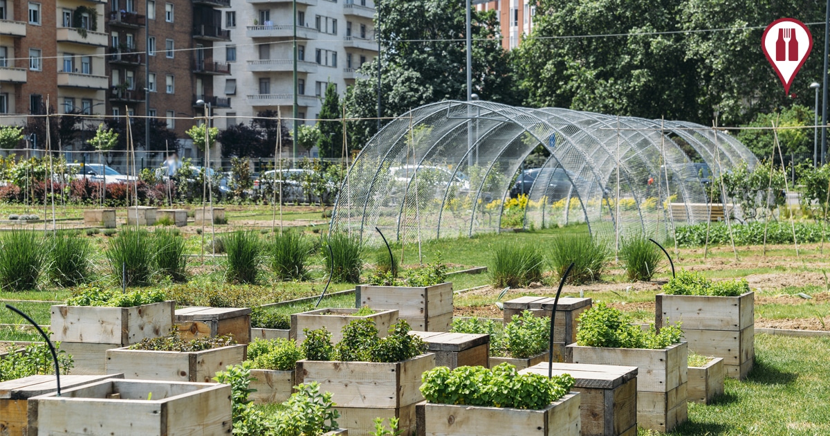 What is Urban Farming?